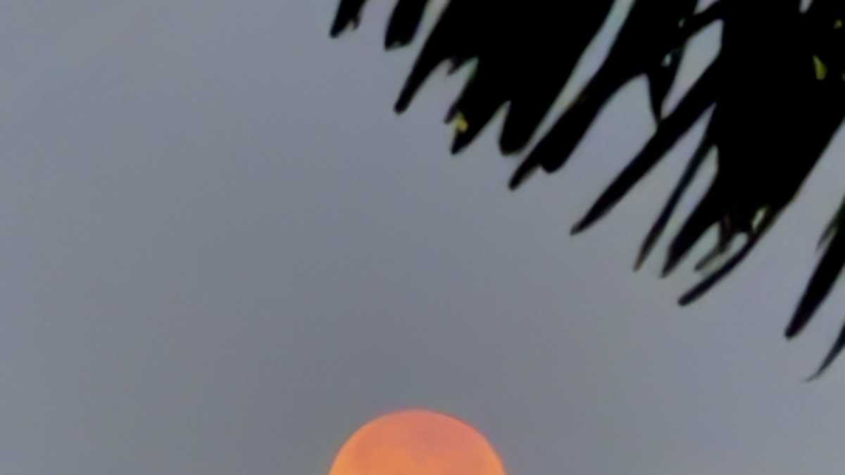 Gallery: Total lunar eclipse turns the moon red in Southwest Florida's ...