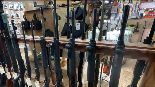 Florida bill would lower age to buy rifles, shotguns - Vimarsana News