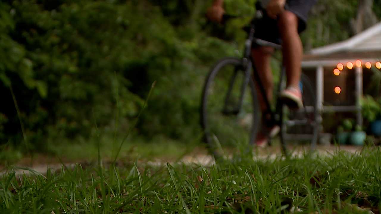 Savannah bicyclists in fear after woman killed in hit-and-run - Vimarsana News
