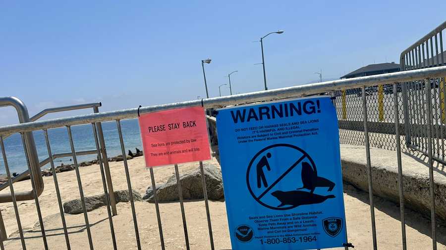 warning sign for sea lions at san carlos beach.