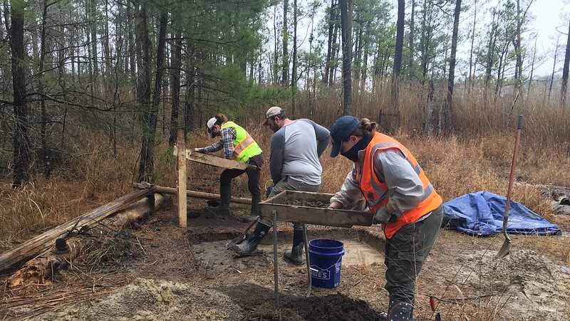 Archaeologists discover long-lost homesite once owned by Harriet Tubman's father - Vimarsana News