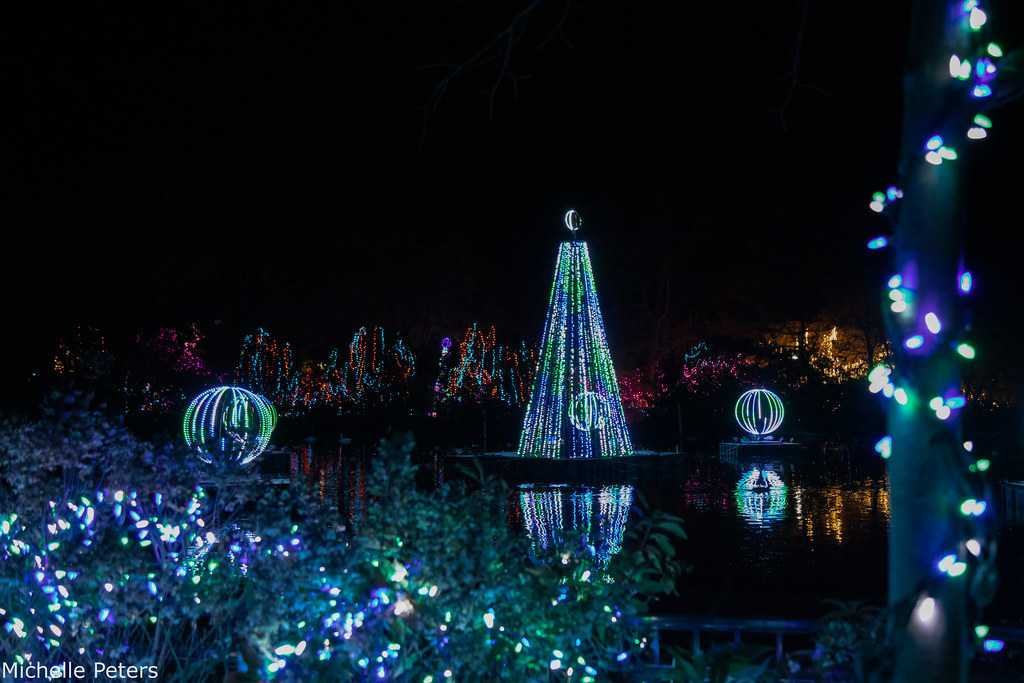 First Look Cincinnati Zoo Festival Of Lights Opens This Weekend   51709681173 B7296f47c7 B 1668731268 