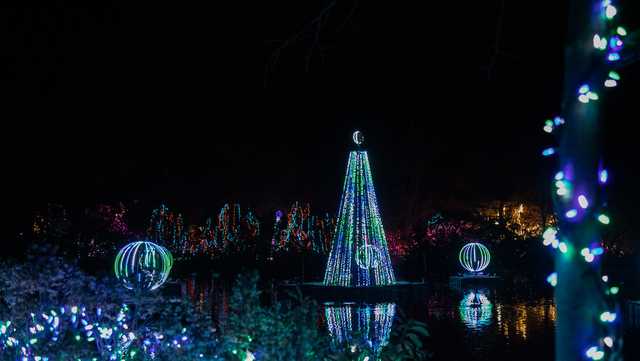 Cincinnati Zoo's lights voted best in nation for 5th year in a row - Vimarsana News