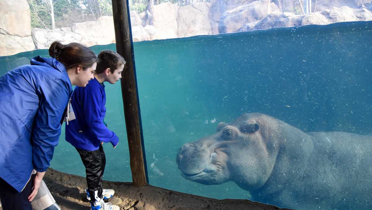 Cincinnati Zoo offering free admission for healthcare workers this week