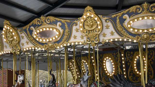 Put your name on the Cincinnati Zoo's new carousel and get a chance to meet the hippos - Vimarsana News