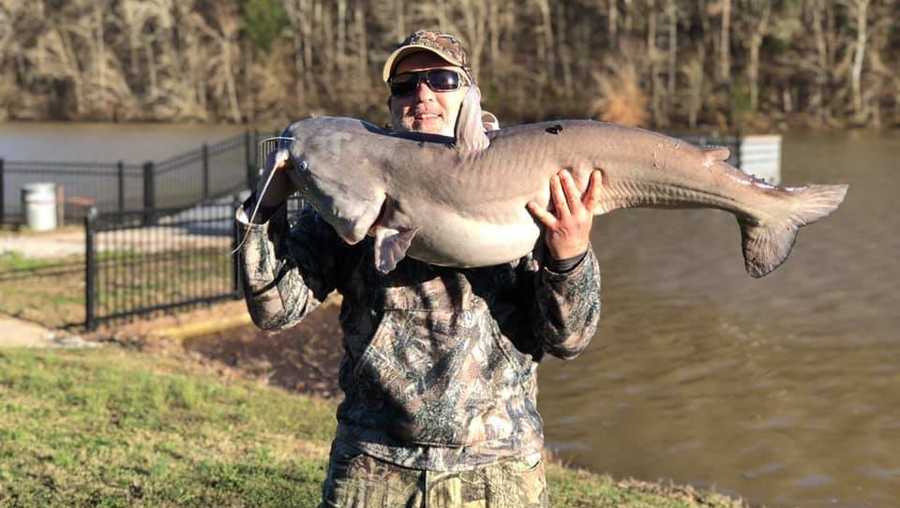 Angler John Williams caught a 50-pound blue catfish in a 47-acre Tennessee lake.