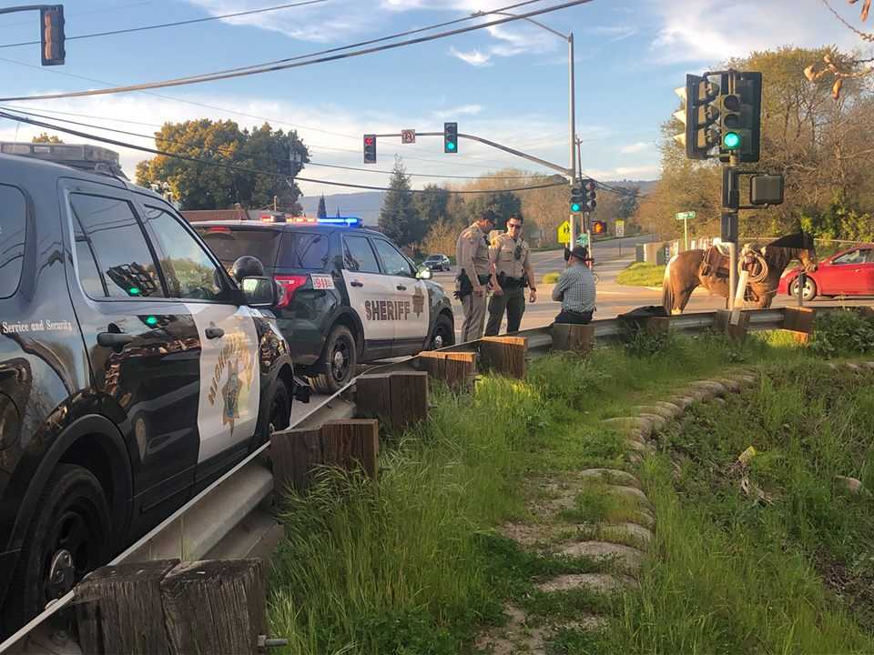 Man arrested in Santa Cruz County for riding a horse while drunk