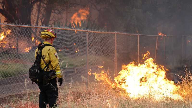 Two California Wildfires Force Evacuations Near Yosemite National Park: French Fire and Thompson Fire Update