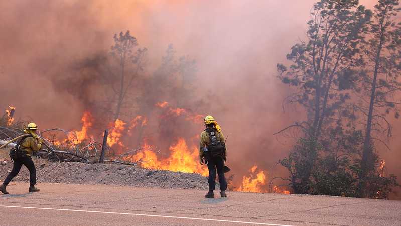 PHOTOS: Crews continue to battle destructive Park Fire puts crews to