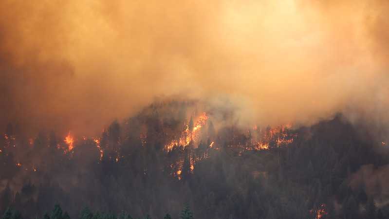 PHOTOS: Crews continue to battle destructive Park Fire puts crews to