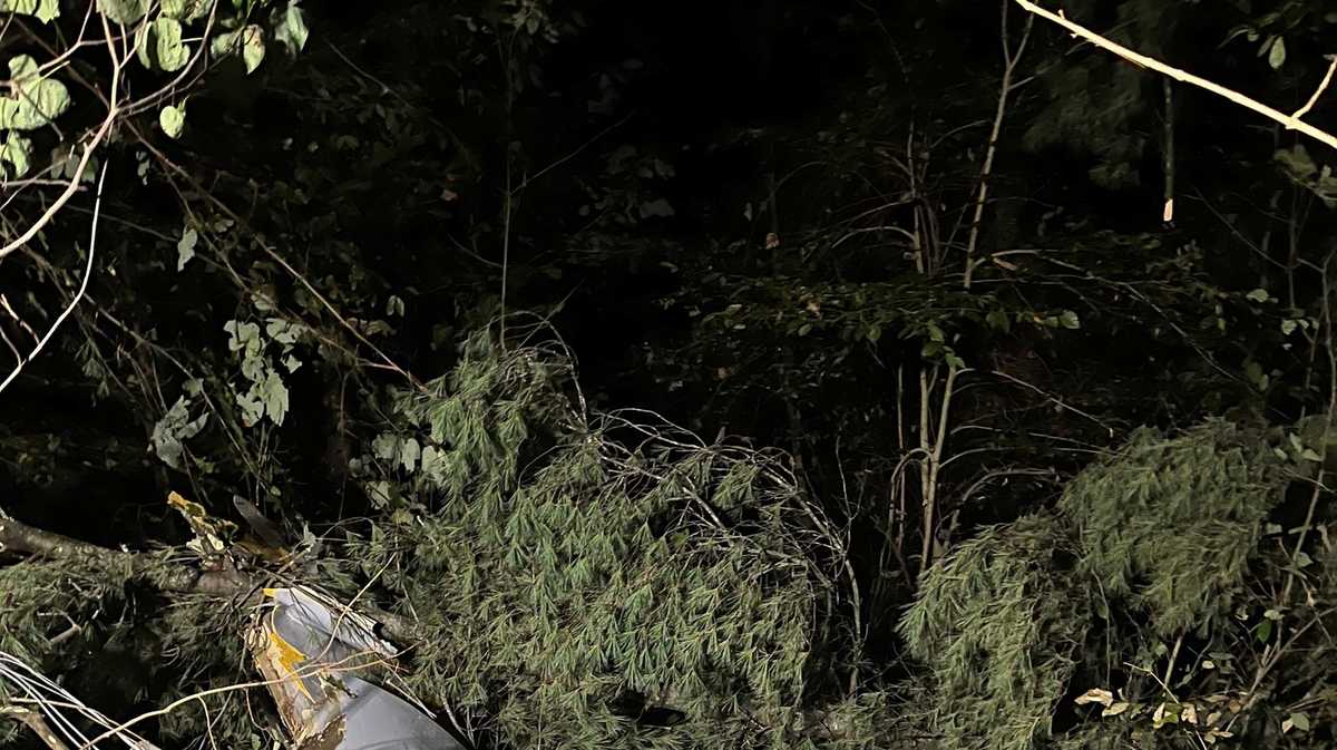 Pilot found alive after small plane crashes in Orange County, Indiana