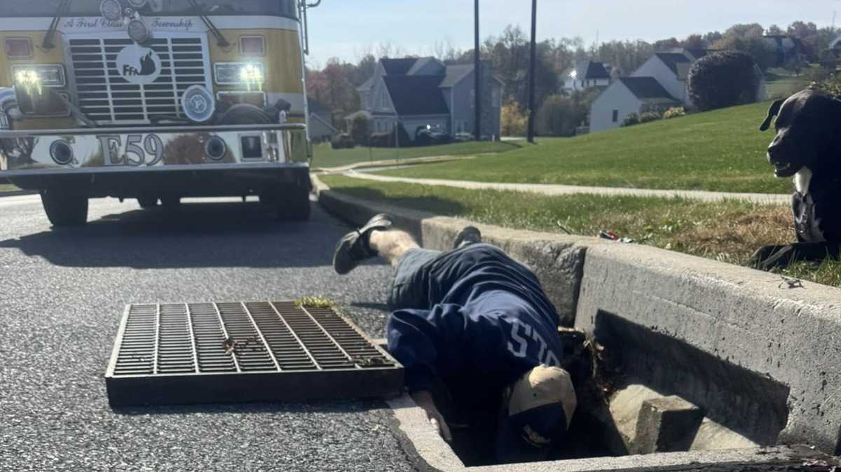 Firefighters rescue kitten stuck in storm drain in Dauphin County, Pa.