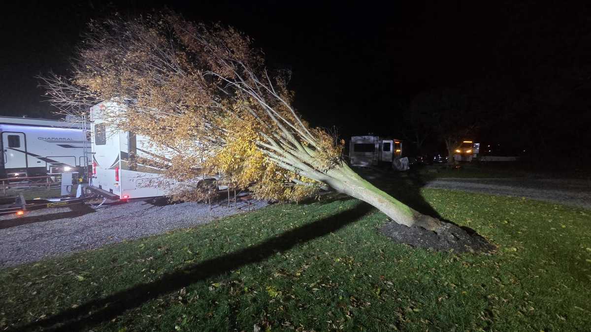 PHOTOS: Strong winds cause widespread damage across south-central Pa.