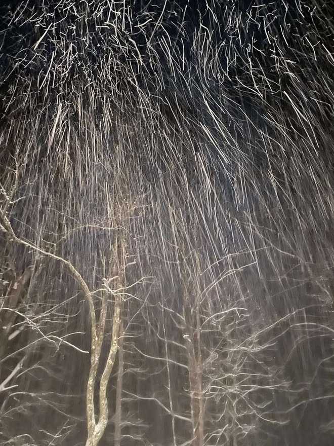 nieve cayendo en farmton