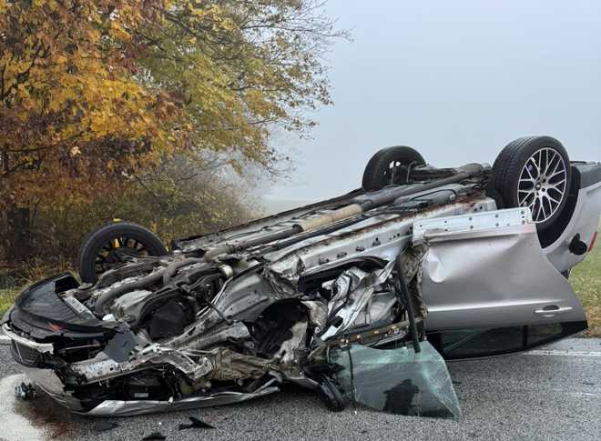 1 injured after car slams into tree, overturns onto roof in Dauphin ...
