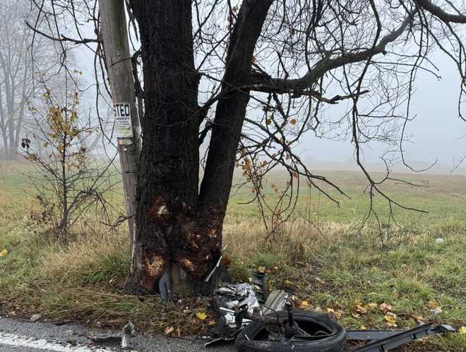 1 injured after car slams into tree, overturns onto roof in Dauphin ...