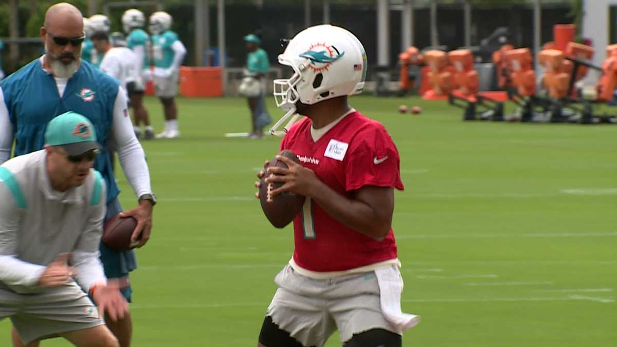 Information for fans attending Miami Dolphins training camp practice