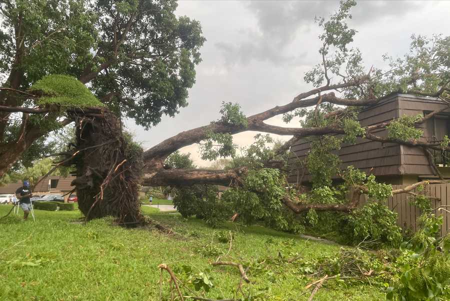 Gallery: Tornado Damage in Palm Beach Gardens