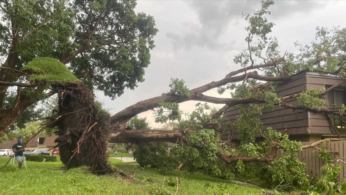 Gallery Tornado Damage in Palm Beach Gardens