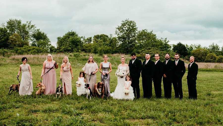 “It was incredible. I was already emotional from having our first look with my now husband, and then seeing the dogs being unloaded … I just couldn’t hold back the tears,” Burky said. “They were tears of happiness that they were here to be a part of my day, and, in some way, I was a part of their day too. I wanted to show what sweet and well-behaved animals the Haven has to offer as companions for individuals and families.”
