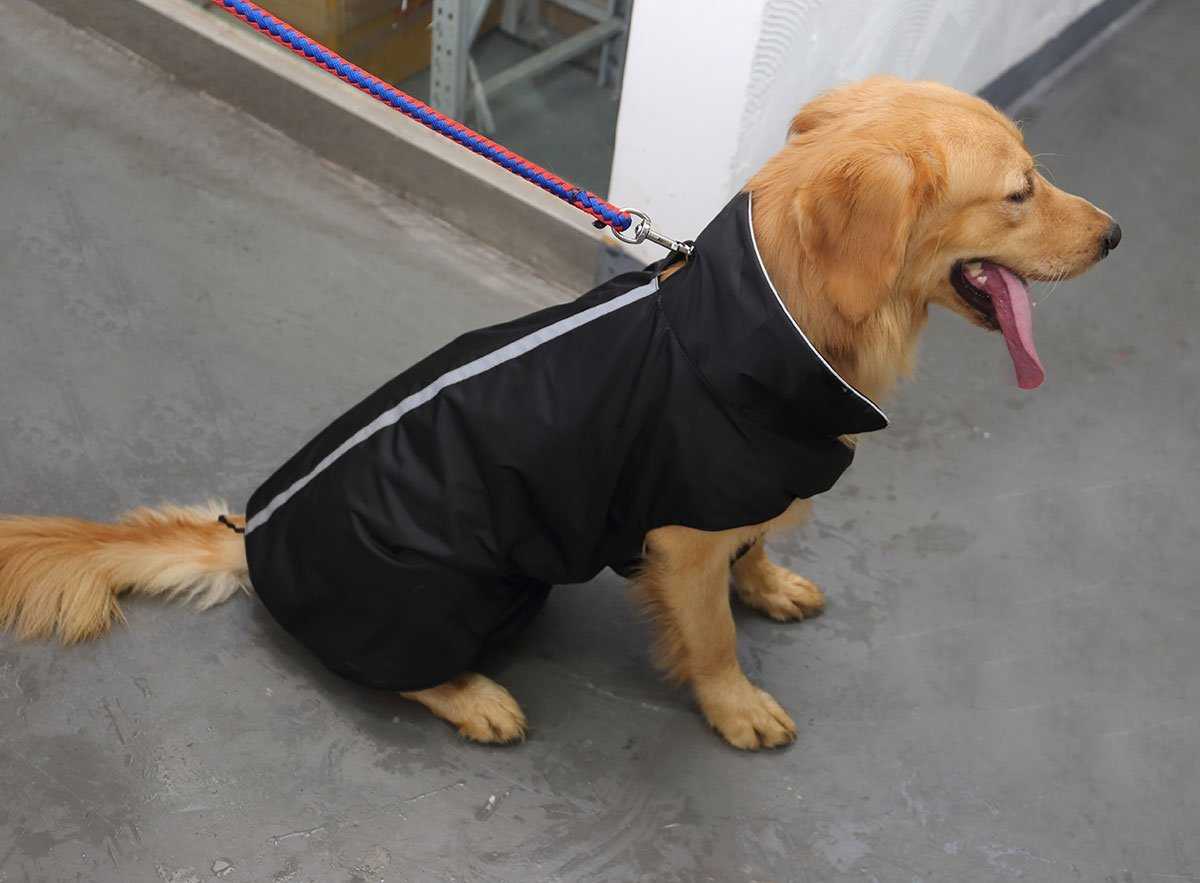 petcee waterproof dog jacket