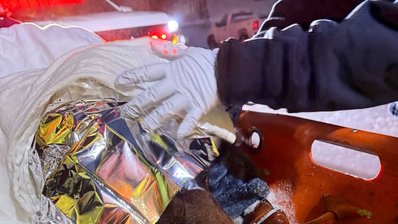 Dog rescued from frozen creek in Maryland