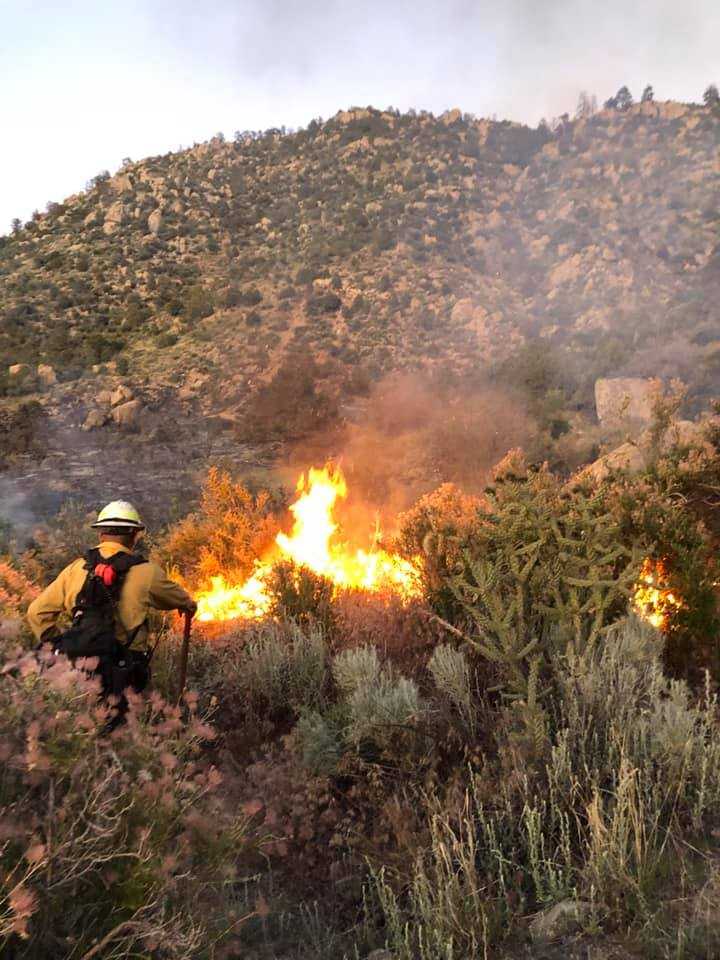 Fire Burning In Albuquerque Foothills