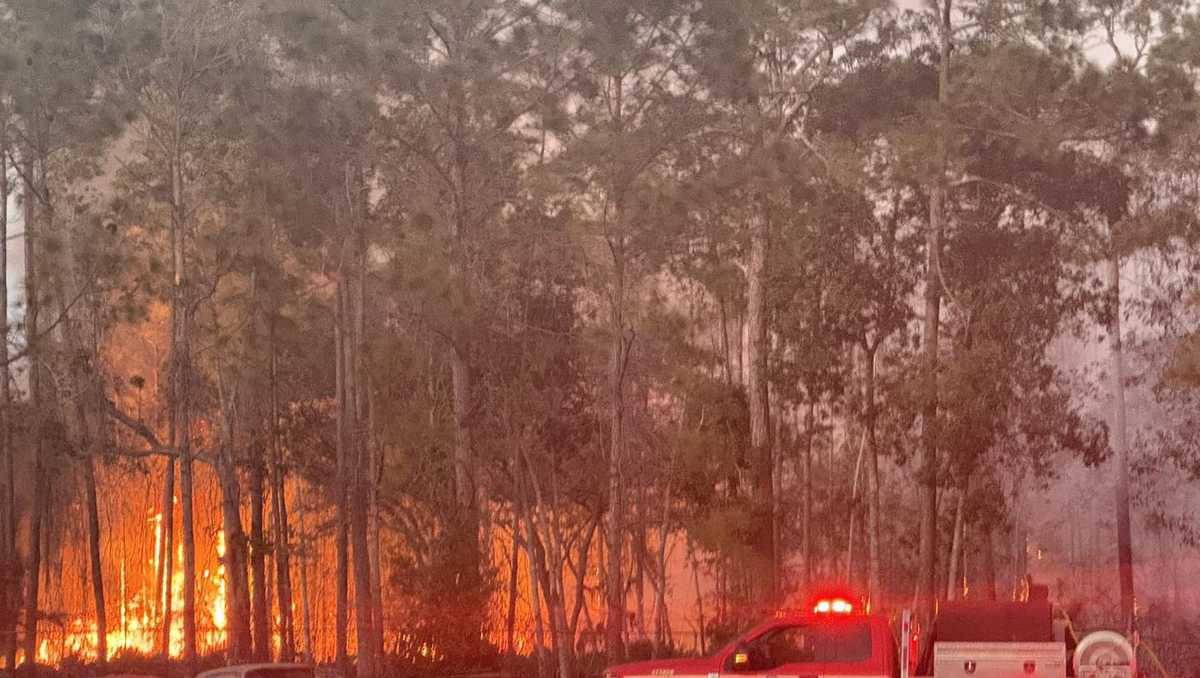 Brush fire causes evacuations and road blocks in Flagler County, deputies say