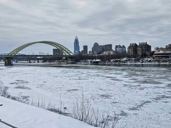 Coyote on the Ohio River