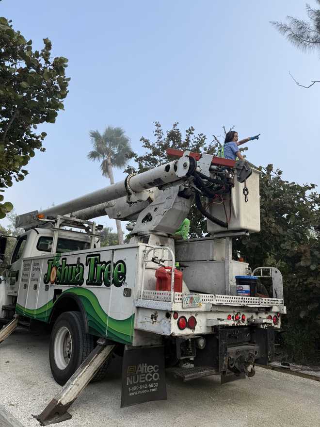 ﻿Joshua Tree, Inc assisting Comolli in the intervention