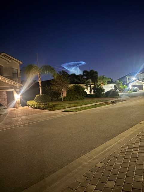 "Space Jellyfish" in North Naples﻿