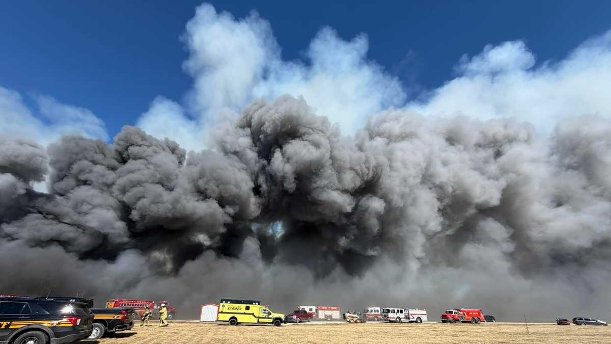 Fire at Ohio farm leaves around 6,000 hogs dead, smoke visible for miles