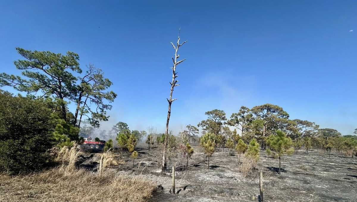 Crews battle 30-acre brush fire in Martin County