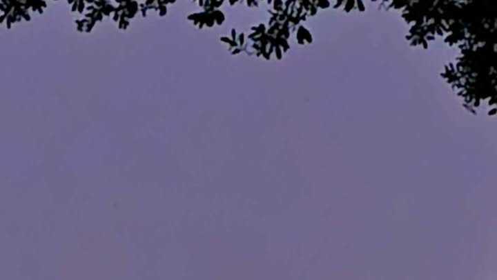 Photo Gallery: Total Lunar Eclipse over South Florida | March 3, 2026