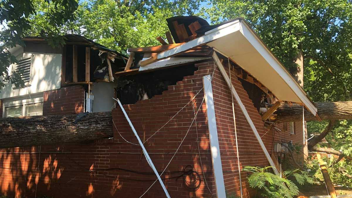 Large trees fall, damage homes as strong storms move through the region