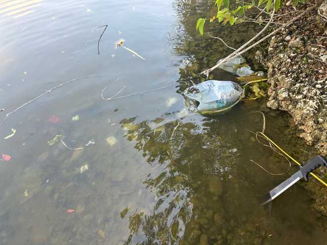 ﻿Items found in canal