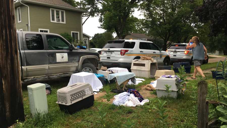 Officials rescued 18 dogs from home in Brandon.