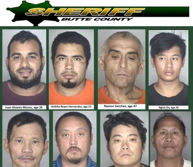 25 people arrested during 12 drug busts in Butte County