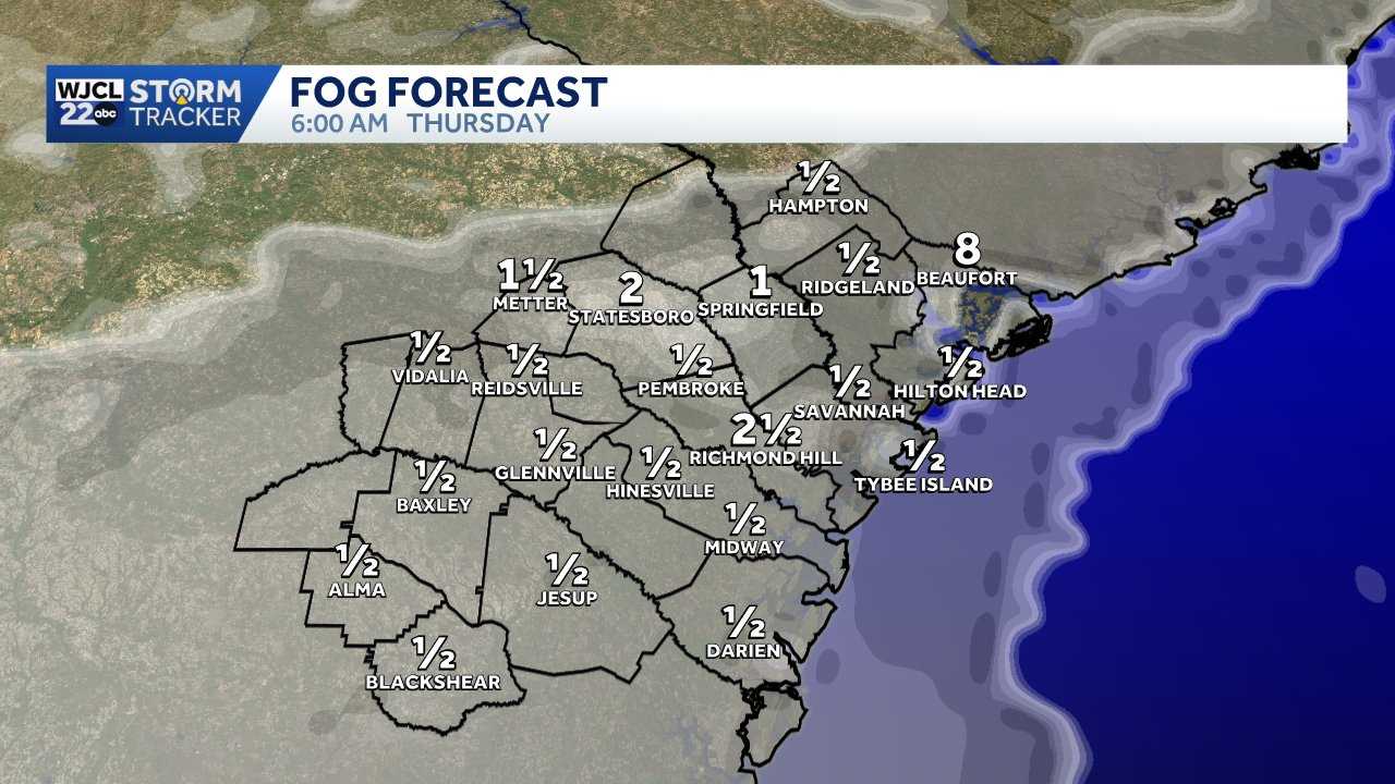 Savannah: Big temperature swing ahead - WJCL