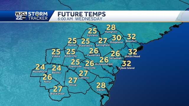Savannah: Freezing temperatures likely several days this week - Vimarsana News