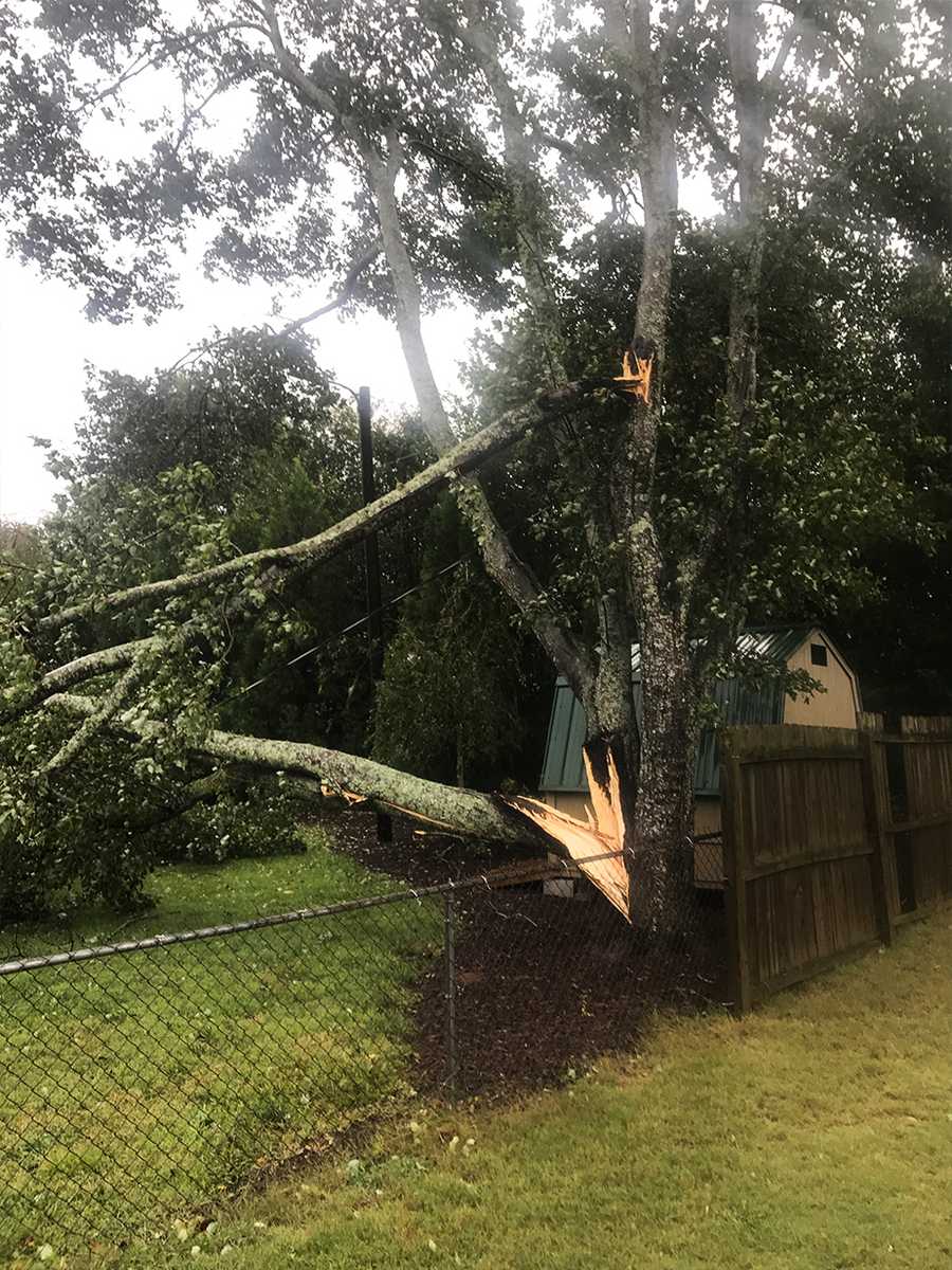 Photos: Hurricane Irma blunders Georgia, South Carolina