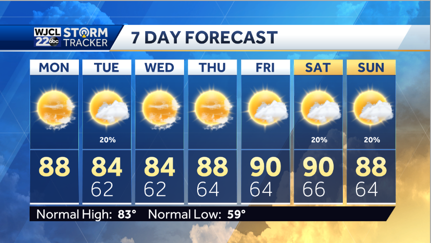 Lots of sun and warm today - WJCL