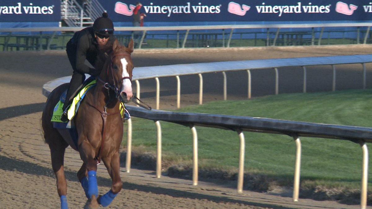 PHOTOS Horses of Kentucky Derby 144