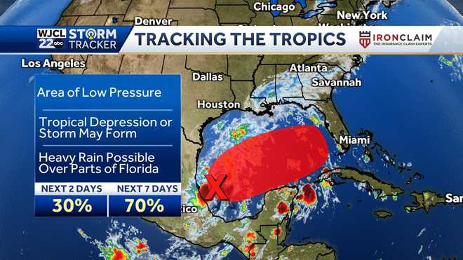 Savannah: Tracking possible tropical development
