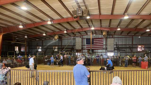 Washington County Fair takes measures to keep guests safe - Vimarsana News