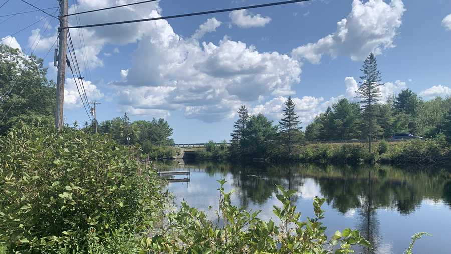 Man drowns in Orland pond