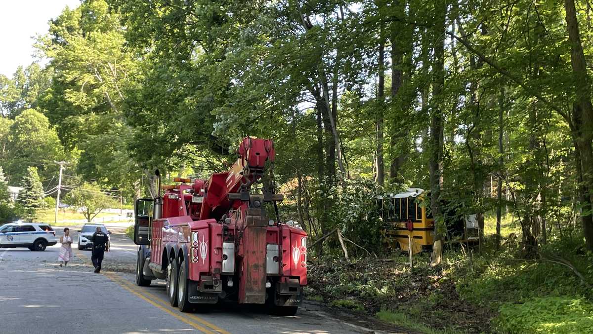 Bus driver injured after crash into woods in Owings Mills