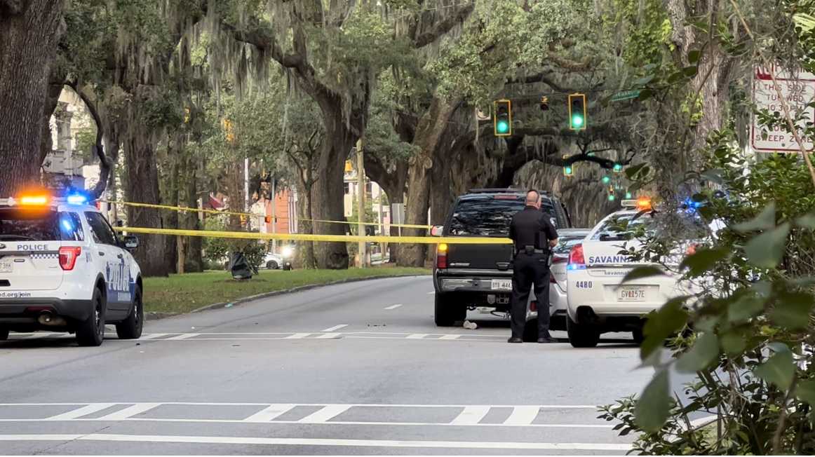 Savannah 65yearold bicyclist struck by vehicle, killed