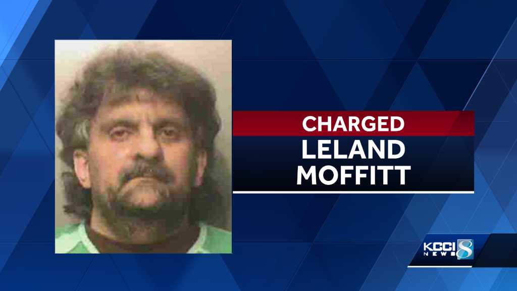 Des Moines man harboring dozens of cats in home charged