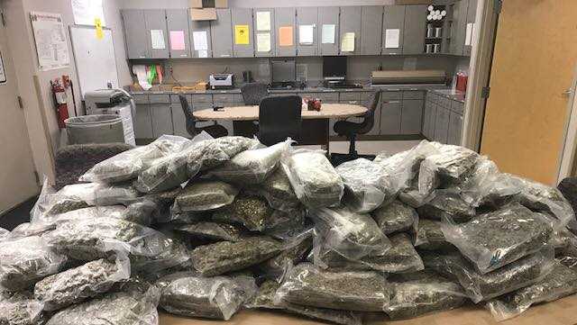 90 pounds of marijuana seized after Forsyth County traffic stop